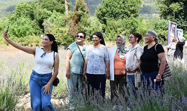 Kemer’de lavanta tanıtım aktiflikleri devam ediyor