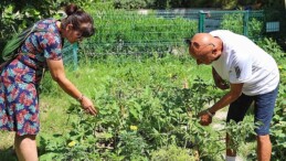 Kent bostanlıklarının birinci hasadı gerçekleştirildi