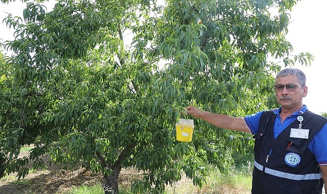 Narenciye İhracatına Büyükşehir Dayanağı