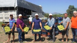 Superior Seedless çeşidi sofralık üzümün ihracat seyahati 11 Temmuz’da başladı