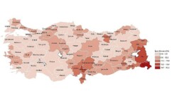 Tüik: Vilayet Seviyesinde İşgücü İstatistikleri, 2023