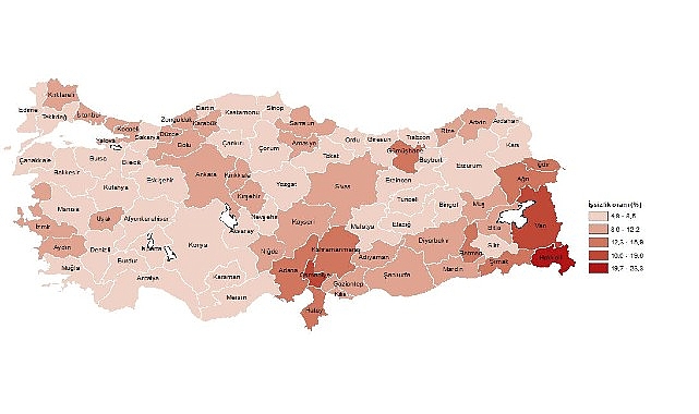 Tüik: Vilayet Seviyesinde İşgücü İstatistikleri, 2023