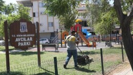 Didim Belediyesi Park Bahçeler Müdürlüğü takımları, ilçe genelinde çalışmalarına orta vermeden devam ediyor.