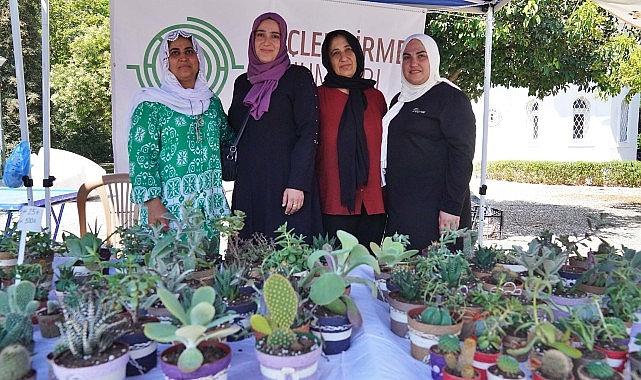 Hem tohumlar hem bayanlar güçleniyor