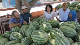 İzmir Büyükşehir Belediyesi ve Kınık Belediyesi’nden Çiftçilere Takviye: Eserler Tarlada Kalmadı, Vatandaşlara Dağıtıldı…