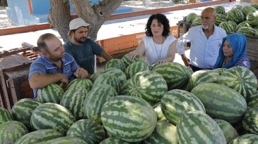 İzmir Büyükşehir Belediyesi ve Kınık Belediyesi’nden Çiftçilere Takviye: Eserler Tarlada Kalmadı, Vatandaşlara Dağıtıldı…