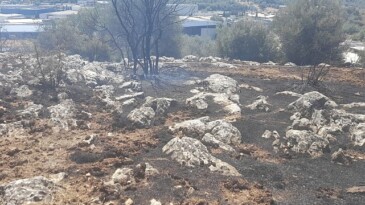 İzmir’de yangın fabrikalara ulaşmadan denetim altına alındı