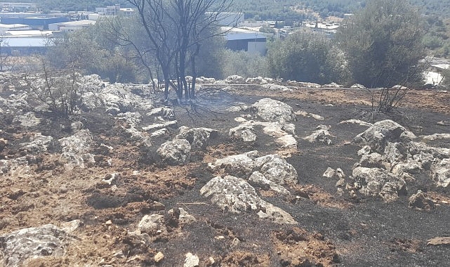 İzmir’de yangın fabrikalara ulaşmadan denetim altına alındı