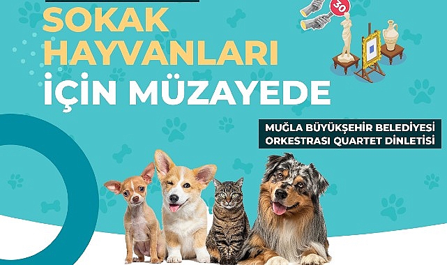 Muğla Büyükşehir Belediyesi tüm geliri sokak hayvanları faydasına kullanılacak müzayede düzenliyor.