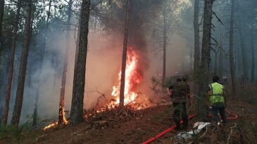 Muğla Büyükşehir Orman Yangınlarında Tüm Gücüyle Alanda