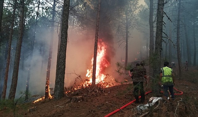 Muğla Büyükşehir Orman Yangınlarında Tüm Gücüyle Alanda