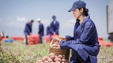 PepsiCo Türkiye’den 16 Ağustos Dünya Patates Gününde Yenileyici Tarımda Büyük Muvaffakiyet: Patates Üretiminin %89’u Yenileyici Tarım Uygulamalarıyla Gerçekleşiyor