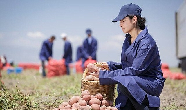 PepsiCo Türkiye’den 16 Ağustos Dünya Patates Gününde Yenileyici Tarımda Büyük Muvaffakiyet: Patates Üretiminin %89’u Yenileyici Tarım Uygulamalarıyla Gerçekleşiyor