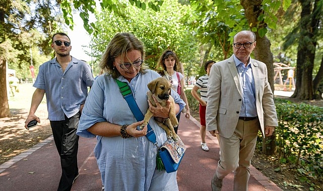 Sahipsiz Köpek Popülasyonu İdaresi İzmir Hareket Planı hazırlandı