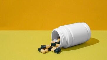 Toplumsal Medyadaki En Yaygın 5 Destek Eser Dolandırıcılığı ve Korunma Formülleri