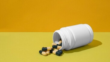 Toplumsal Medyadaki En Yaygın 5 Destek Eser Dolandırıcılığı ve Korunma Sistemleri