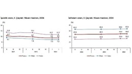 Tüik: Mevsim tesirinden arındırılmış işsizlik oranı %8,8 düzeyinde gerçekleşti