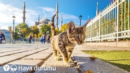 Türkiye’nin büyük kentlerinde Eylül ayının ortalarında görülen sıcak ve güneşli havalar yerini serin ve yağışlı havaya bırakacak