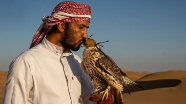 4 Kısımlık ‘Vahşi Arabistan’ 21 Eylül Cumartesi Günü 20.00’de National Geographic WILD Ekranlarında Başlıyor!
