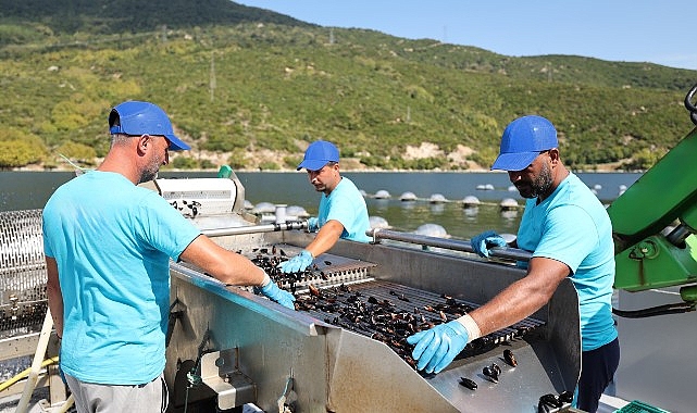 CarrefourSA’dan Mavi İktisat ile Sürdürülebilir Deniz Eserleri Atağı