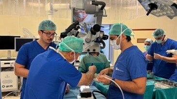 Dünyaca ünlü beyin, hudut ve omurga cerrahisi uzmanları İstanbul’a geldi! WFNS Eğitim Kursu muvaffakiyetle tamamlandı!