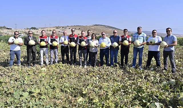 Foça’da 5. Klasik Kavun Hasat Şenliği Coşkuyla Kutlandı
