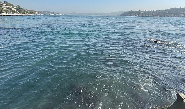 İBB’nin bağlı kuruluşu İstanbul Su ve Kanalizasyon Yönetimi (İSKİ), Baltalimanı’nda boğaza atık su akışı olduğu savlarını yalanladı