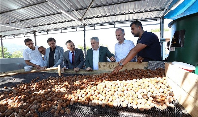 İnegöl’de Amaç 42 Bin Ton Ceviz