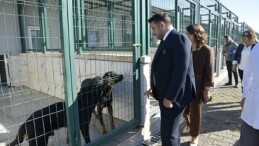 Patili Dostlara Miniklerden Ziyaret