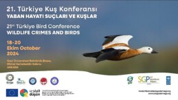 21. Türkiye Kuş Konferansı 18-20 Ekim 2024’te Yaban Hayatı Hataları ve Kuşlar temasıyla Ankara’da.