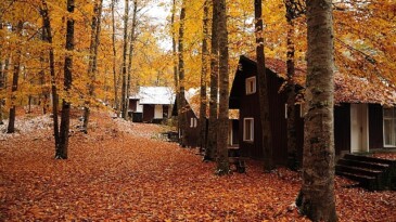 3.250 TL’den Başlayan Sonbahar Rotaları