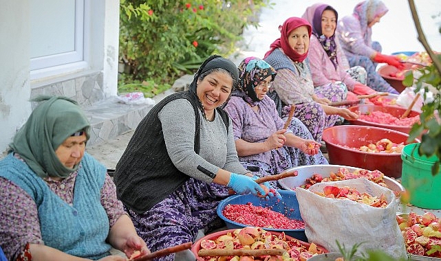 Aliağa’nın Doğal Çıtak Nar Ekşisi’nin Sofralara Uzanan Hikayesi