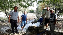 Büyükşehir’den Demreli üreticilere takviye