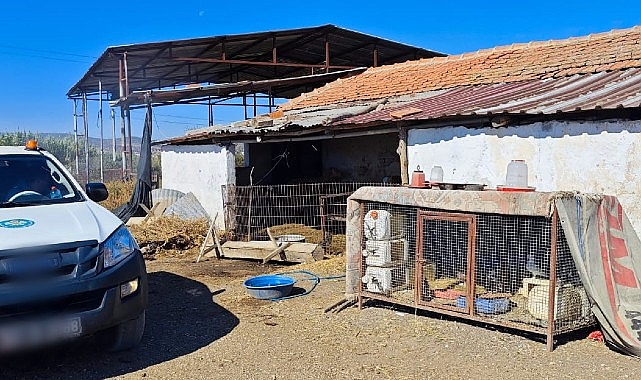 Büyükşehir’den ‘Mavi Dil’ Hastalığına Karşı Çaba