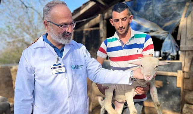 Büyükşehir’in koç takviyesiyle 5.400 kuzu doğdu
