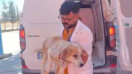 Didim’de Kuyuya Düşen Köpek Belediye Gruplarınca Kurtarıldı