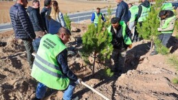 Sivas Belediyesi manalı bir çalışmaya imza atarak mevsimlik personeller ismine hatıra ormanı oluşturdu.