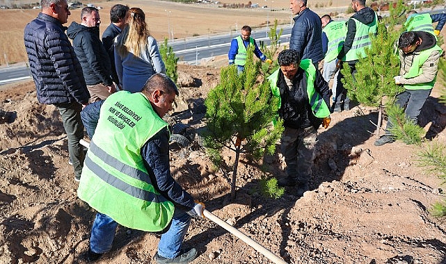 Sivas Belediyesi manalı bir çalışmaya imza atarak mevsimlik personeller ismine hatıra ormanı oluşturdu.