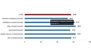 Tüik: Hizmet Üretici Fiyat Endeksi (H-ÜFE) yıllık %56,85 arttı, aylık %1,14 arttı