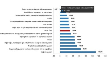 Tüik: Tarım eserleri üretici fiyat endeksi (Tarım-ÜFE) yıllık %31,09 arttı, aylık %2,00 arttı