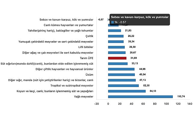 Tüik: Tarım eserleri üretici fiyat endeksi (Tarım-ÜFE) yıllık %31,09 arttı, aylık %2,00 arttı
