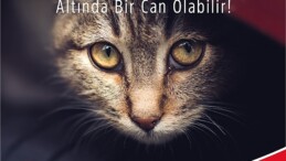Araca binmeden evvel kaputa vur