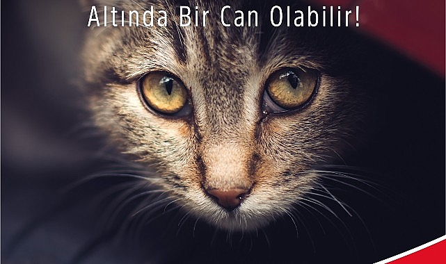 Araca binmeden evvel kaputa vur