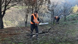 Çiğli Belediyesi Orman Yangınının İzlerini Silmek İçin Seferber Oldu