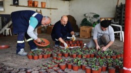Karşıyaka Belediyesi’nin serasında binlerce çiçek yetişiyor