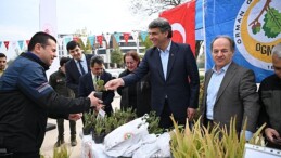 Kartepe’de 2300 Fidan Dağıtıldı
