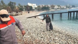 Kemer’de mıntıka paklığı