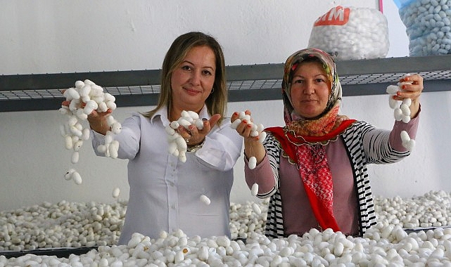 Sapadere İpek Konutu’nda eğitim kursları başladı
