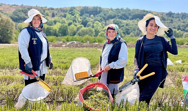 TABİP’te 2024 üretim dönemi tamamlandı