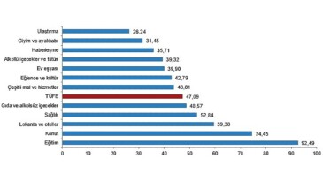 Tüik Tüketici fiyat endeksi (TÜFE) yıllık %47,09, aylık %2,24 arttı